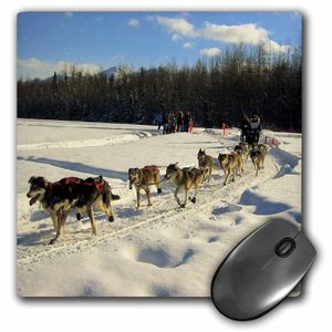 3dRose LLC 8 x 8 x 0.25 inches Iditarod Sled Dog Racing en Fairbanks Patrón Mouse Pad (MP _ _ _ _ _ _ _ _ _ _ 46486 _ _ _ _ _ _ _ _ _ _ 1)