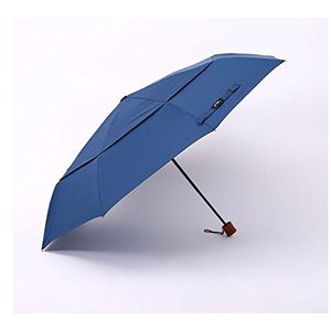 LSP Life-Sport Auto Open Windbuster Sport Double-Deck Folding Compact Umbrella for Women/Men