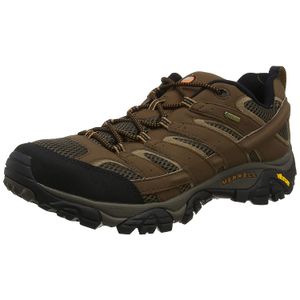 Merrell Men's Moab 2 GTX Hiking Shoe