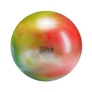 Gymnic pelota Arte Plus burst-resistant de ejercicio (55 cm)