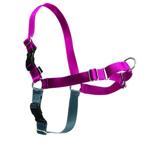 PetSafe Easy Walk Harness