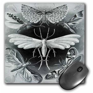 3dRose LLC 8 x 8 x 0.25 imagen de Vintage alemán biólogo dibujo de polillas mouse pad (mp _ 80736 _ 1)