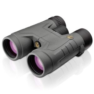 Leupold BX-2 Acadia techo prismáticos, Gris, 10 x 42 mm