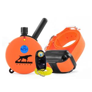 Paquete de 2 artículos – E-Collar – ul-1200 – 1 mile recargable mando a distancia impermeable Upland caza Trainer educador – Estimulación Estática, vi