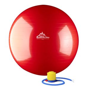 Black Mountain Products - Bola de estabilidad estática con bomba para ejercicios de montaña, 2000 libras