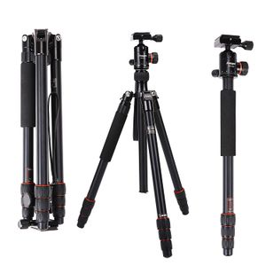 Trípode para cámara, Fotopro m5i aleación de Alluminum profesional cámara trípode de viaje compacto 53.5 inch con Ball Head Quick Release Plate Cámara