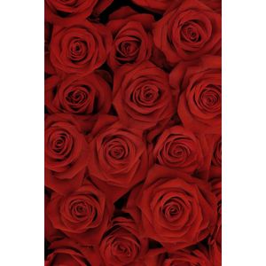 AOFOTO - Papel pintado con diseño de flores de rosas, fondo para fotografía, decoración de fiesta