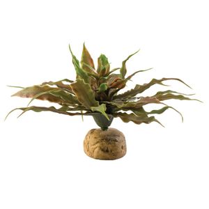 Planta de terrario Exo Terra