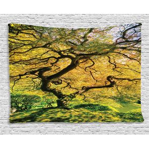 ambesonne Casa Decor Collection, recámara Salón recámara Para Colgar En La Pared Tapices, multicoloreado