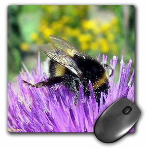 3dRose LLC 8 x 8 x 0.25 inches Busy como una abeja. Mouse Pad (MP _ _ _ _ _ _ _ _ _ _ 913 _ _ _ _ _ _ _ _ _ _ 1)