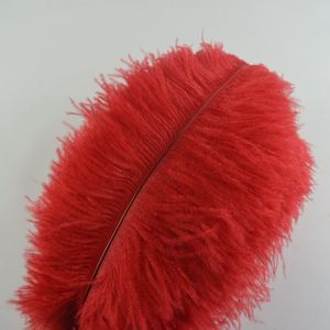 Sowder 10pcs Plumas De Avestruz 12-14 Pulgadas (30-35 Cm)...