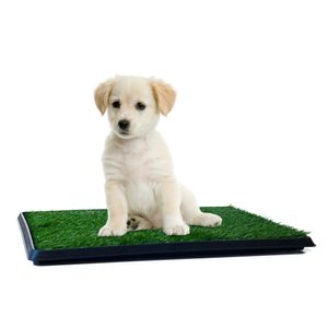 Entrenador de cachorros para orinar de PETMAKER, baño para perros de interiores
