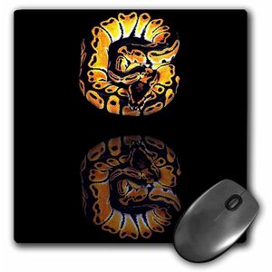 3dRose LLC 8 x 8 x 0.25 inches Mouse Pad, Ball Python (MP _ _ _ _ _ _ _ _ _ _ 887 _ _ _ _ _ _ _ _ _ _ 1)