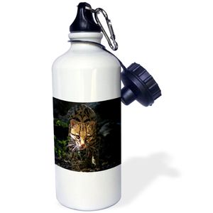 3dRose WB _ _ _ _ _ _ _ _ _ _ 147109 _ _ _ _ _ _ _ _ _ _ 1 " Ocelot, enano Leopard, de especies amenazadas, captive-us44 ldi1020-larry Ditto "Deportes