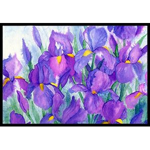 Tesoros de la Caroline ibd0256mat Purple Iris Mat, 18" x 27," interior o exterior multicolor