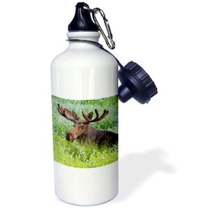 3dRose WB _ _ _ _ _ _ _ _ _ _ 147312 _ _ _ _ _ _ _ _ _ _ 1 " Bull Moose, Little Cottonwood Canyon, Utah, usa-us45 hga0422-howie Garber "Deportes botel