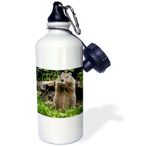 3dRose WB _ 190777 _ 1 " Estados Unidos, Minnesota, arenisca. Marmota alimento de una flor. " Deportes botella de agua, 21 oz, blanco