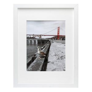 Frametory - Marco de fotos (12.0 x 12.0 in), color negro, MDF, 12x16