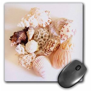 3dRose LLC 8 x 8 x 0.25 inches Mouse Pad, She Sells Sea Shells (MP _ _ _ _ _ _ _ _ _ _ _ _ _ _ _ _ _ _ _ _ 18683 – 1)