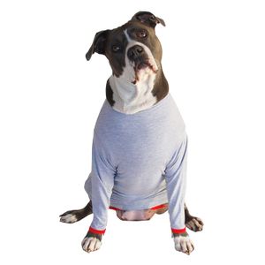 Camiseta de protección post operatoria para perros, mejor que el cono La alternativa más cómoda para recuperación.