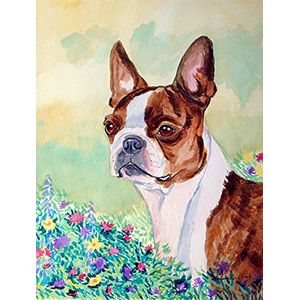 Tesoros de carolinas 7222chf bandera de boston terrier roja y blanca lienzo grande multicolor