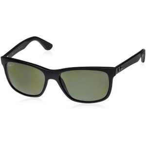 Ray-Ban RB4181 Square Sunglasses