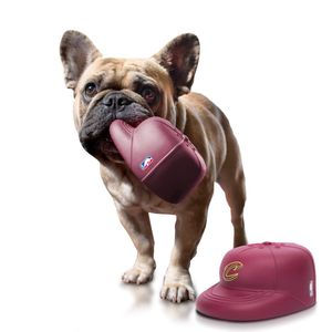 Papa del PAN NBA Cleveland Cavaliers Team PlayCap perro masticar y chirrido juguete, Borgoña (talla única)