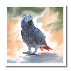 Pájaros  loro gris africano  hierro en transferencias calóricas