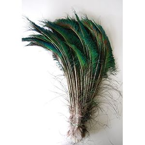 50 piezas espadas de pavo reales plumas naturales 1014