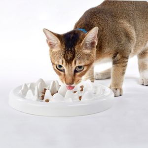 DotPet - Comedero lento de cerámica, divertido comedero interactivo, para evitar que el gato se enjuague y que las mascotas se coman sanas contra la f