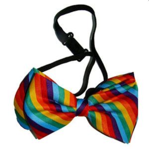 Gay Arco Iris Sisters Gay Pride lazo arco iris