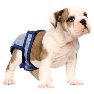 zorbipad zpxs01 zorbipants pañal, X-Small/4 A 7 LB