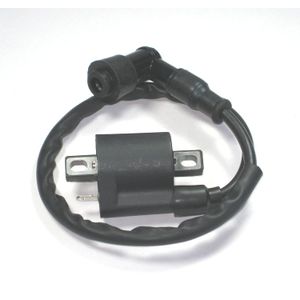 hifrom (TM) Bobina de encendido 110 125 150 200 cc 250 cc ATV Ciclomotor GO Kart chino moto quad TAOTAO