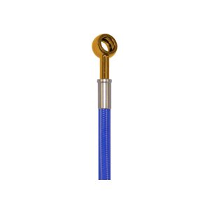 Pro Braking PBR2732-BLU-GOL - Freno trasero trenzado (manguera azul y banjos de oro inoxidable)