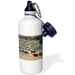 3dRose WB _ _ _ _ _ _ _ _ _ _ 208166 _ _ _ _ _ _ _ _ _ _ 1 " Estados Unidos Oregon Harney County. Caballo Salvaje en BLM gestionado Steens Mountain. "
