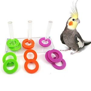 Loro Periquito Cockatiels Conure Guacamayo africano Grays Cockatoo Amazon Eclectus Budgies Jaula para Bird Intelligence Desarrollo Entrenamiento Jugue