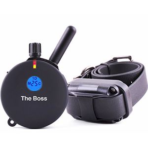 Collar de entrenamiento para perro de educador ecollar