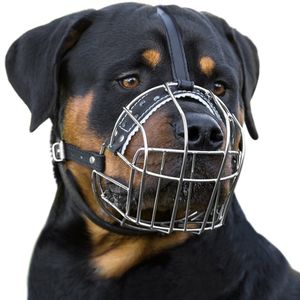bronzedog perro Bozal Cesta de alambre Rottweiler ajustable correas de piel
