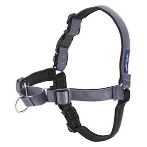 Arnés Easya Easy Walk de Petsafe