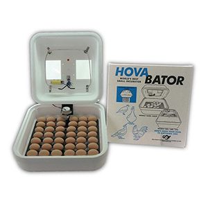 Gqf fabricación 1602 n hovabator incubadora