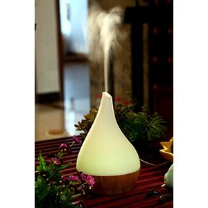 Productos canarios fs640bb canarias vidrio y difusor de aroma de bambú