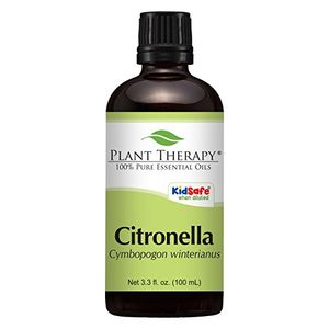 Plant Therapy Citronella Essential Oil. Grado 100% puro, sin diluir, terapéutico. 100 ml (3,3 onzas).