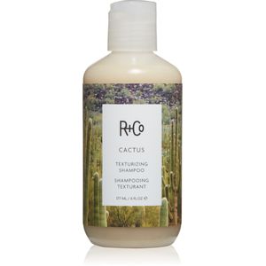 R + Co Cactus Texturizing Shampoo, 6 Fl. Onz.