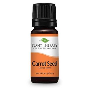 Plant Therapy Aceite Esencial de Semilla de Zanahoria. Grado 100% puro, sin diluir, terapéutico. 10 ml (1/3 oz).
