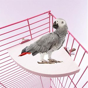 Yosoo 17cm17cm Loro de Madera Jaula de Pájaros Percas Moneda Redonda Soporte de Plataforma Budgie Juguetes Soporte de Aves para Periquitos