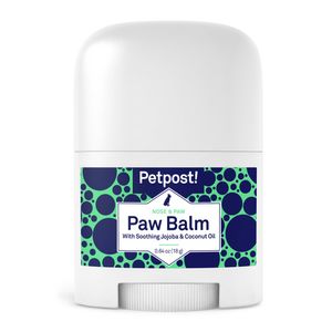 Petpost - Bálsamo para huellas para perros – crema nutritiva que calma las patas de perro picante, seco con ingredientes orgánicos – aceite de coco hi