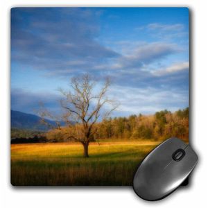 3dRose USA, Tennessee, pastos en Cades Cove – Mouse Pad