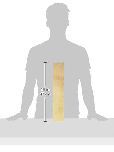 Grafco 1941 Basswood Splint (12 unidades) - Compra en Amazon desde ...