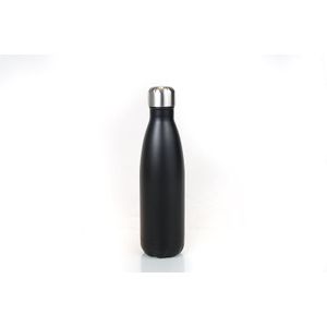 Aislado Botella de agua, doble pared, Acero inoxidable, plateado, forro en 17 oz
