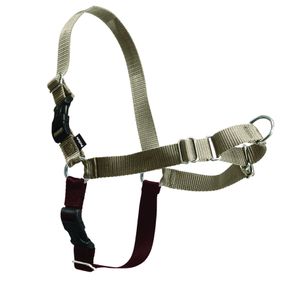 PetSafe Easy Walk Harness